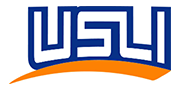 USLI - leintzinsuranc.com